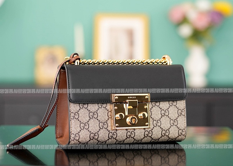 구찌패들락스몰GG숄더백 20260320-154304-001루.jpg