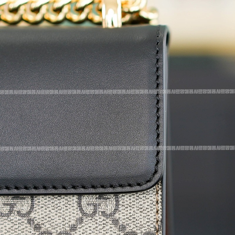 구찌패들락스몰GG숄더백 20260320-154306-012루.jpg