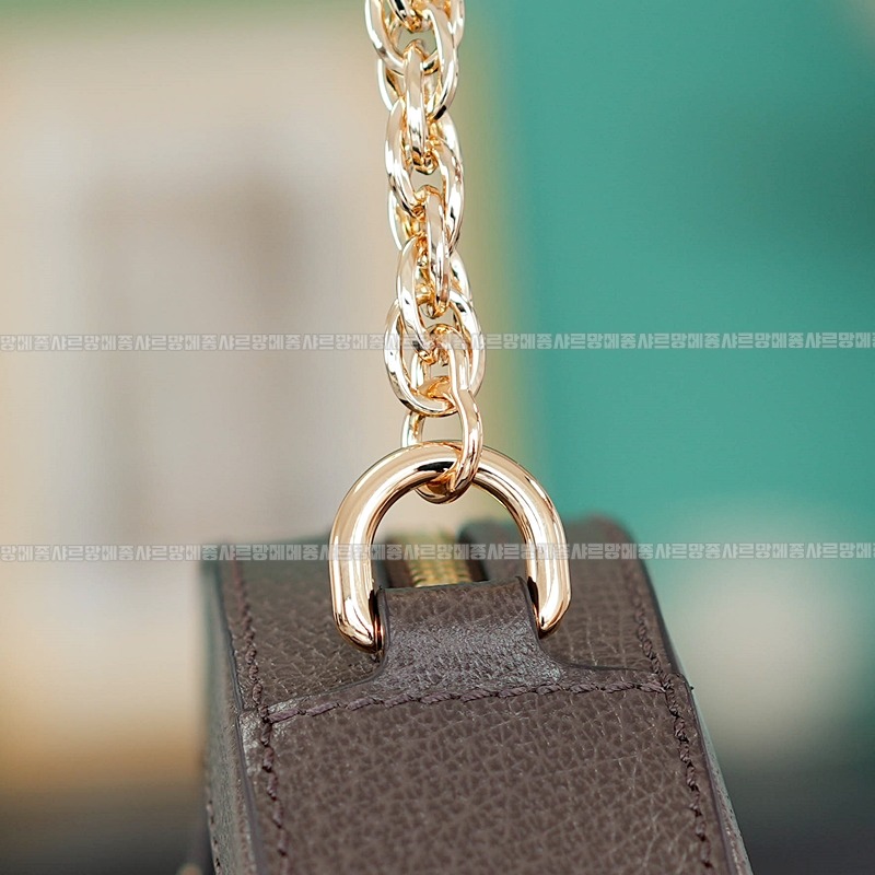 구찌오피디아미니GG라운드숄더백 20260320-154853-014루.jpg