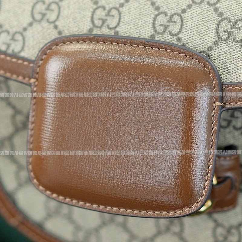 구찌1955홀스빗미니라운드숄더백 20260320-163211-014루.jpg