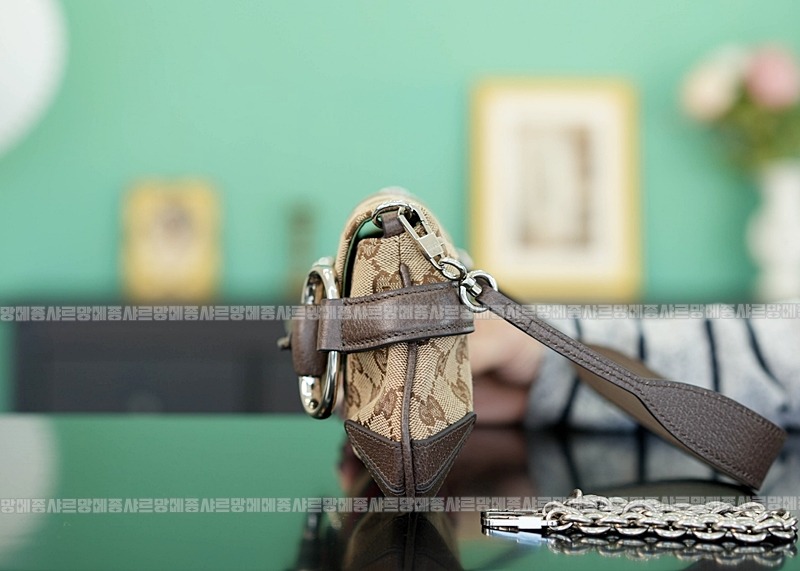 구찌호스빗체인스몰백 20260321-150349-003루.jpg