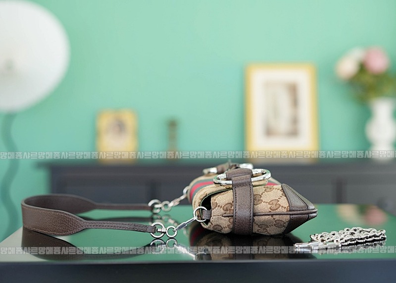 구찌호스빗체인스몰백 20260321-150349-008루.jpg