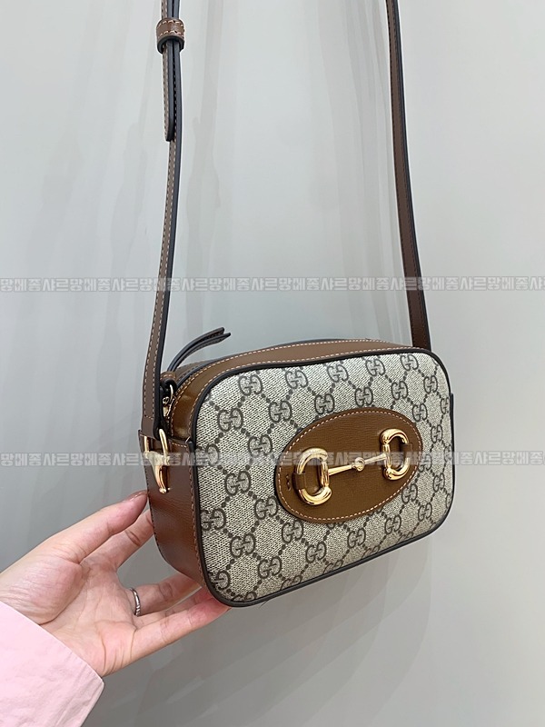 구찌홀스빗1955미니크로스백  20260322-121028-002루.jpg