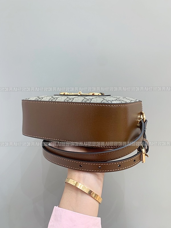 구찌홀스빗1955미니크로스백  20260322-121031-018루.jpg