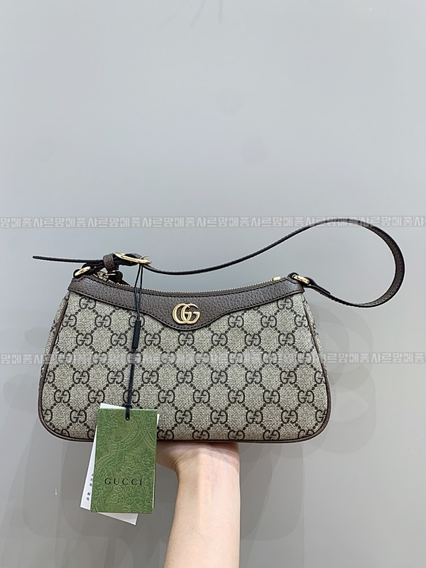 구찌오피디아스몰핸드백  20260322-121835-001루.jpg