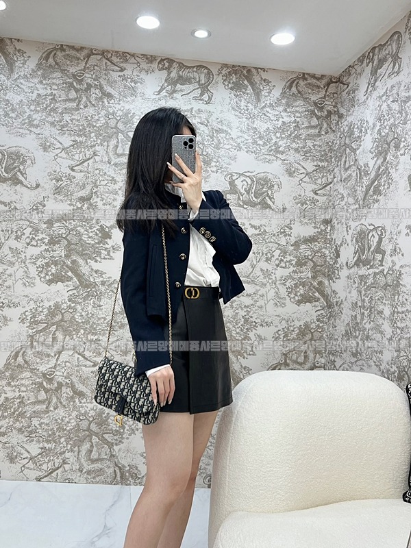 디올새들스몰체인파우치  20260323-130611-018루.jpg