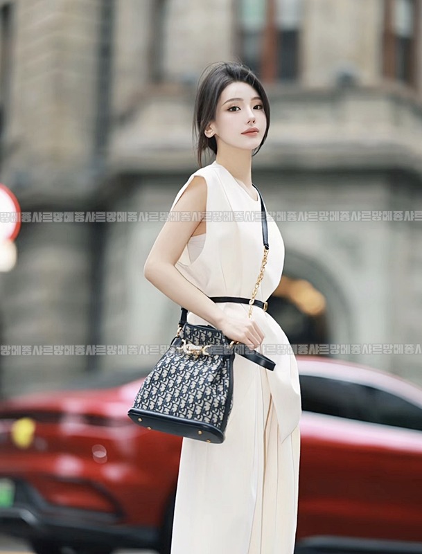 디올쎄오블리크버킷숄더백미디움  20260323-150756-025루.jpg