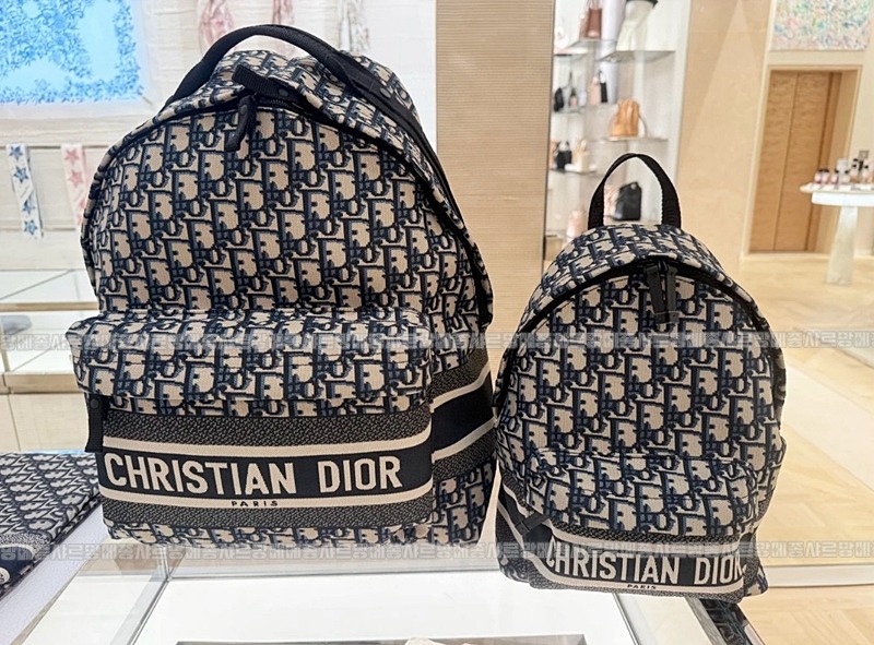 디올오블리크트래블백팩  20260323-174908-010루.jpg