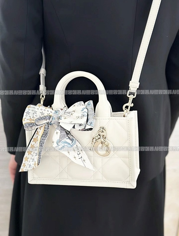 디올북토트미니백   20260325-144044-016루.jpg