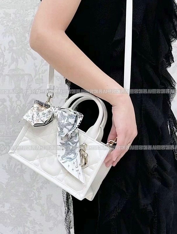 디올북토트미니백   20260325-144044-017루.jpg