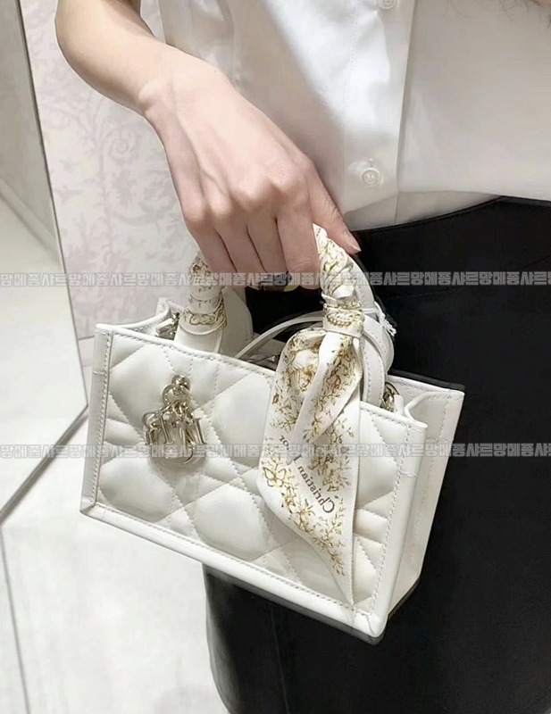 디올북토트미니백   20260325-144044-014루.jpg