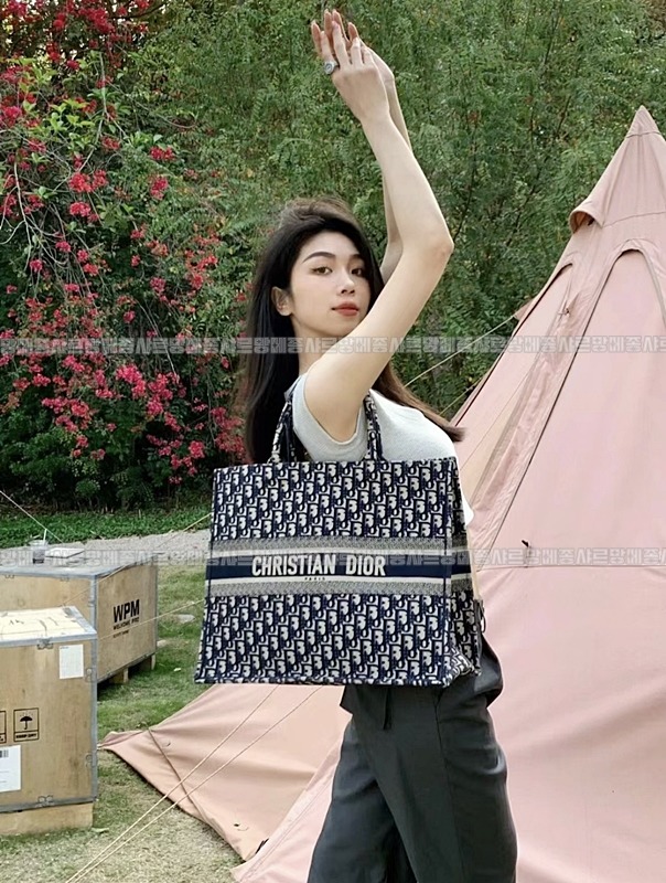 디올북토트백미디움  20260325-171258-019루.jpg