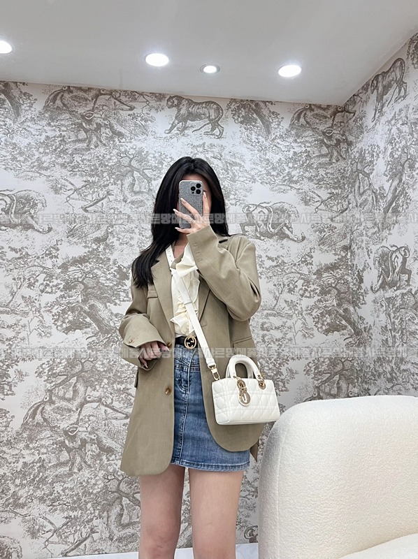 디올레이디디조이백스몰백  20260328-131511-025루.jpg