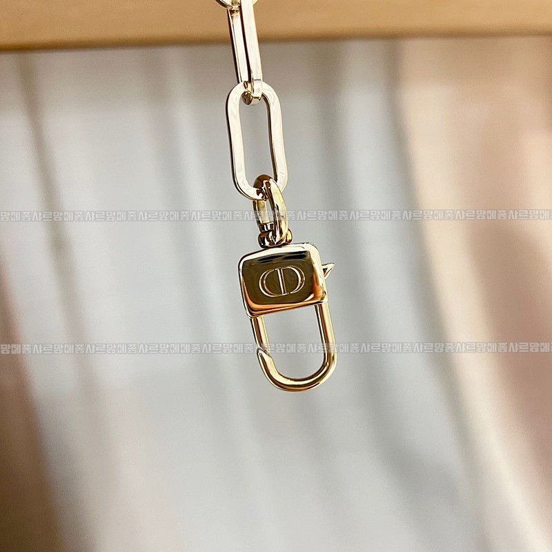 디올레이디디조이백스몰백  20260328-131510-017루.jpg