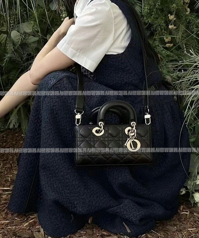 디올레이디디조이백스몰백  20260328-132141-012루.jpg