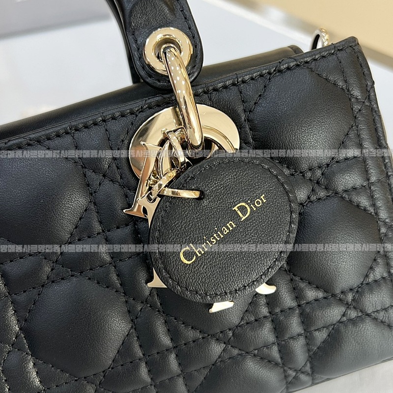 디올레이디디조이백스몰백  20260328-132141-006루.jpg