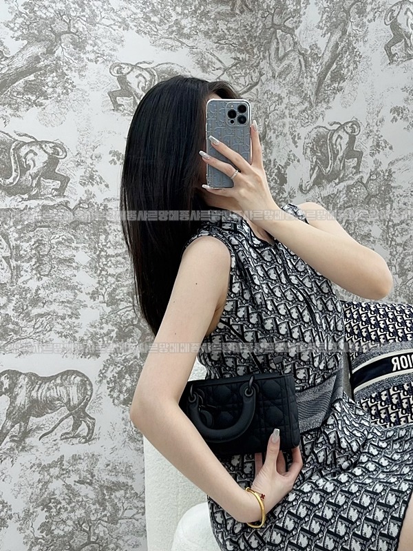 디올레이디디조이백스몰백  20260328-132445-012루.jpg