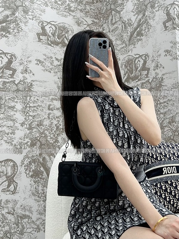 디올레이디디조이백스몰백  20260328-132446-017루.jpg