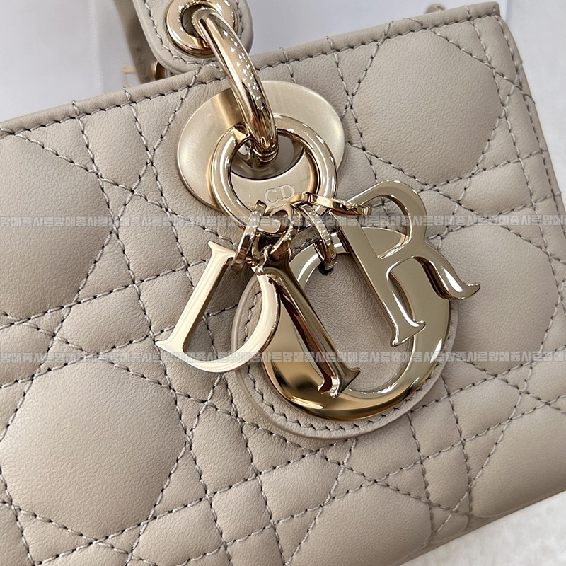 디올레이디디조이백스몰백  20260328-134704-008루.jpg