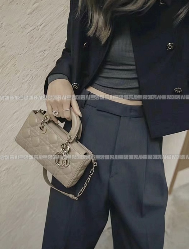 디올레이디디조이백스몰백  20260328-135347-025루.jpg