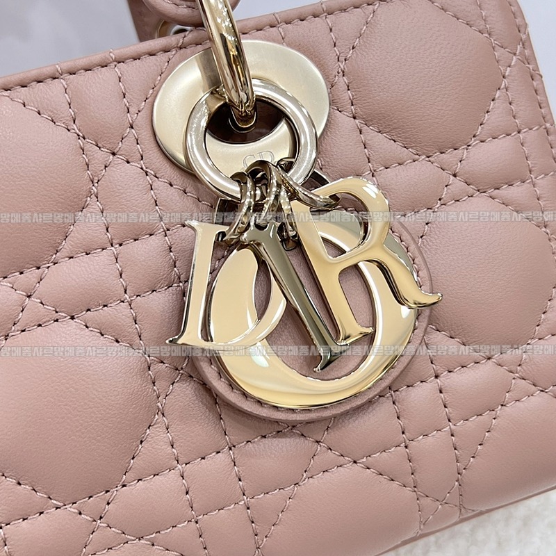 디올레이디디조이백스몰백  20260328-135636-014루.jpg