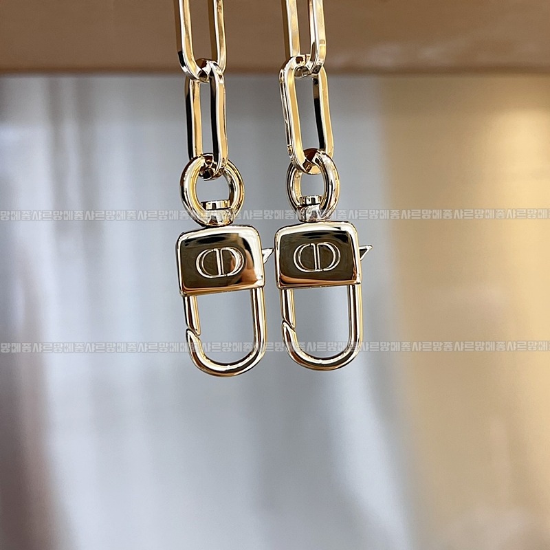 디올레이디디조이백스몰백  20260328-135636-016루.jpg