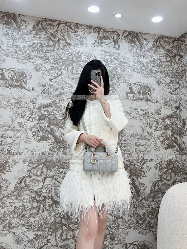 디올레이디디조이백스몰백  20260328-140258-015루.jpg