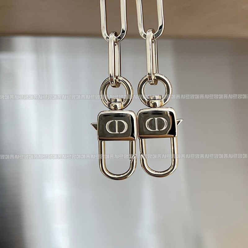 디올레이디디조이백스몰백  20260328-140526-013루.jpg