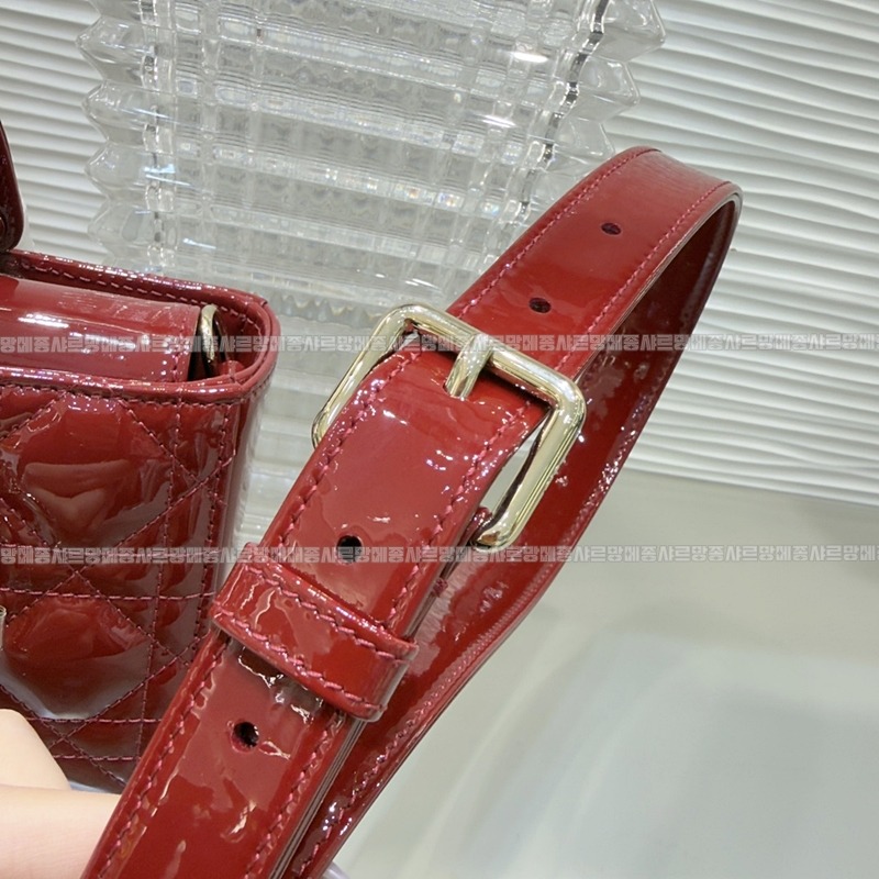 디올레이디디조이백스몰백  20260328-141932-011루.jpg