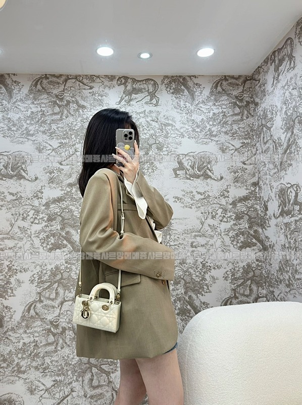 디올레이디디조이백미니백  20260328-162321-025루.jpg