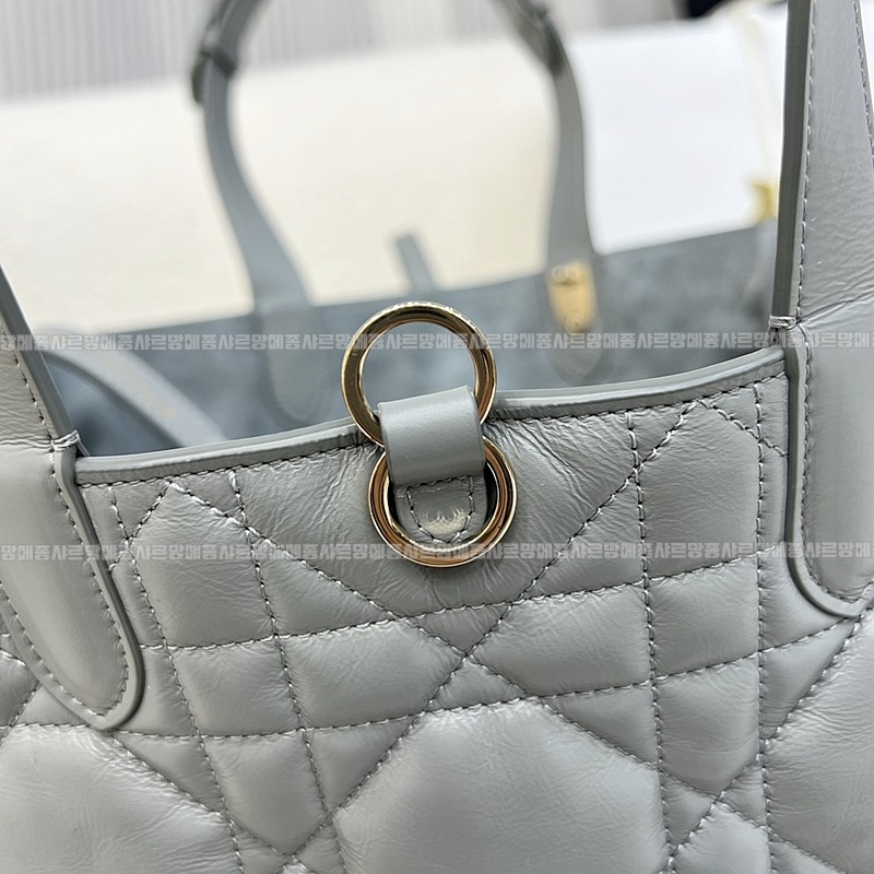 디올뚜주흐토트백  20260329-101531-011루.jpg