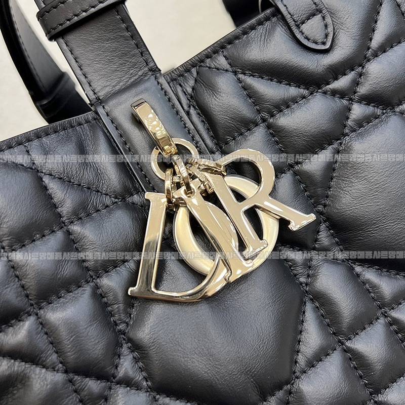 디올뚜주흐토트백  20260329-102630-009루.jpg