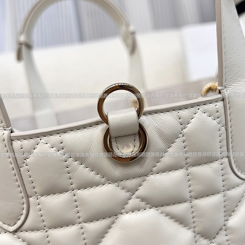 디올뚜주흐토트백  20260329-102910-012루.jpg