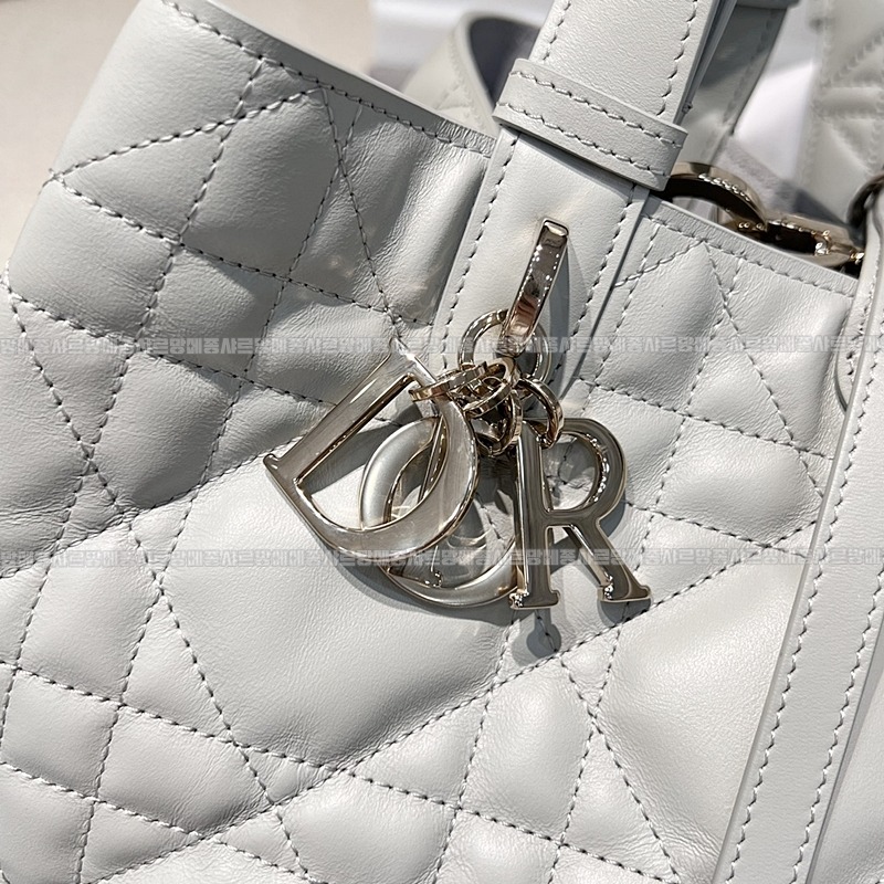 디올뚜주흐토트백  20260329-103141-006루.jpg