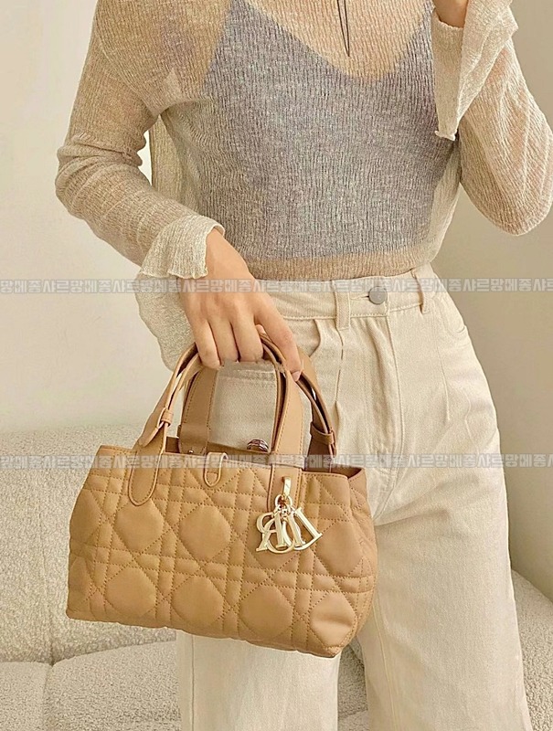 디올뚜주흐토트백스몰  20260329-105037-028루.jpg