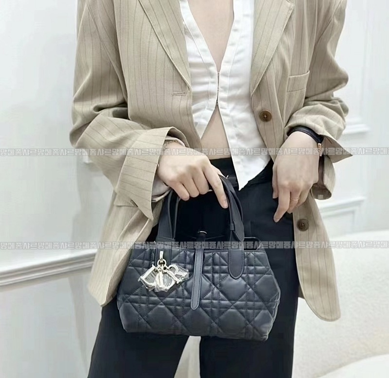 디올뚜주흐토트백스몰  20260329-110608-025루.jpg