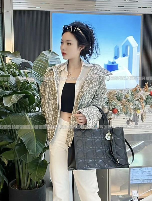 디올북토트백미디움 20260330-171633-wsxc1774890742122_0루.jpg