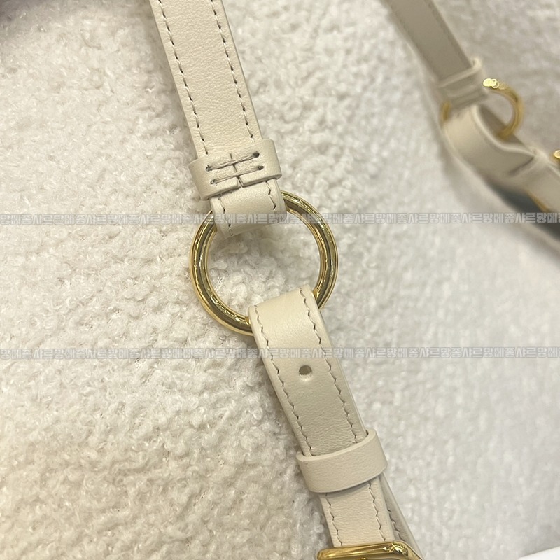 디올20몽테인윈더러스트미니백 20260402-112101-010루.jpg