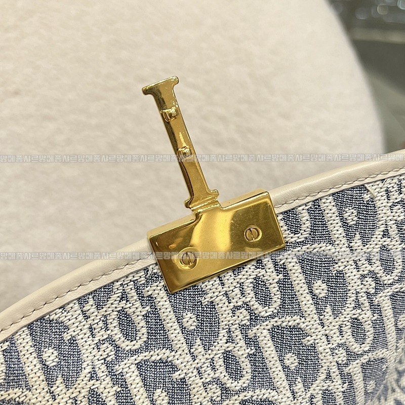 디올30몽테인사첼미디움백 20260402-113755-009루.jpg