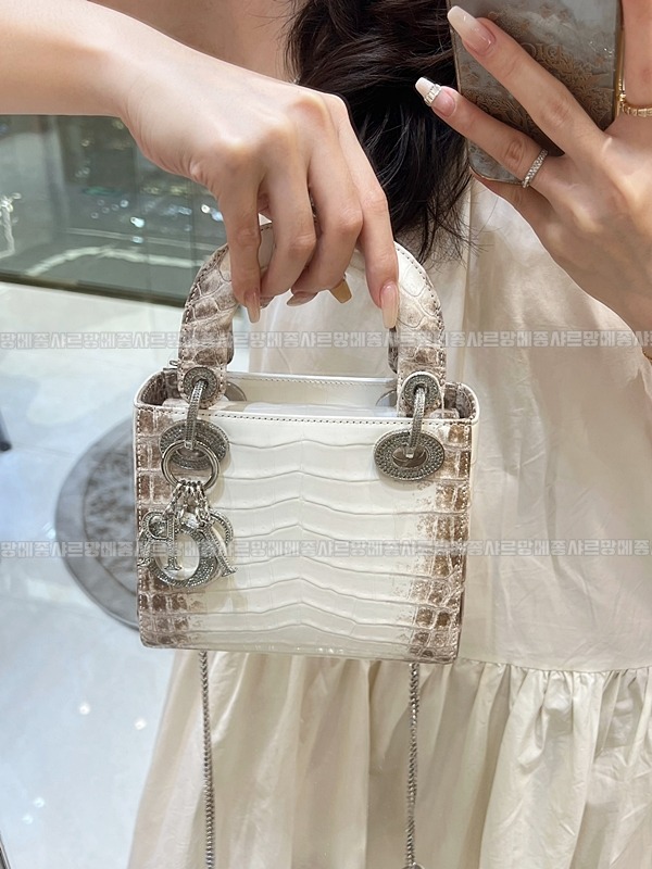 레이디디올하말라야 20260402-132005-017루.jpg