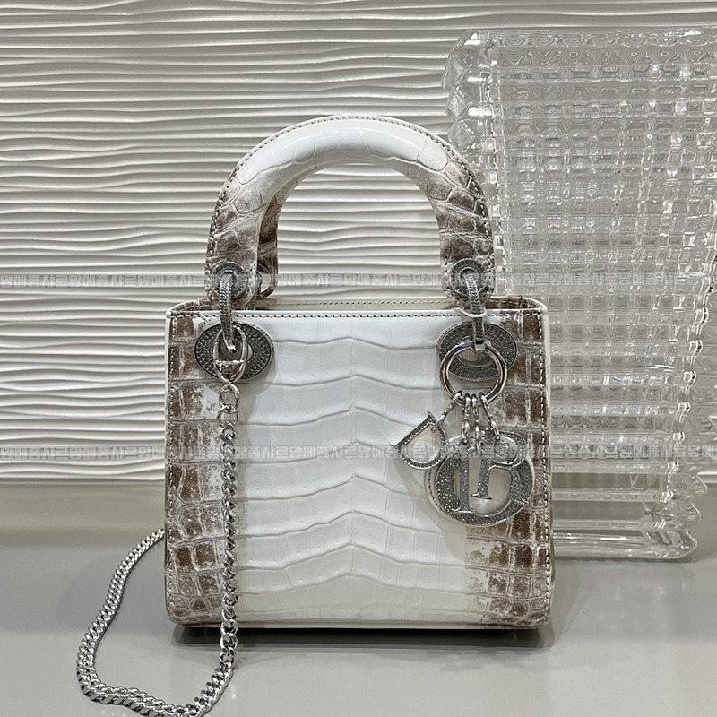 레이디디올하말라야 20260402-132003-001루.jpg