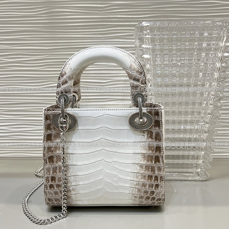 레이디디올하말라야 20260402-132003-002루.jpg