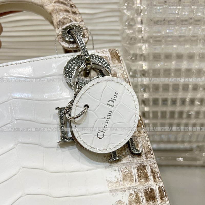 레이디디올하말라야 20260402-132003-008루.jpg