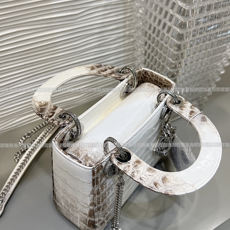 레이디디올하말라야 20260402-132004-011루.jpg