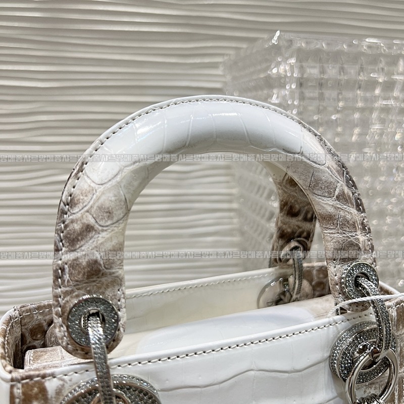 레이디디올하말라야 20260402-132004-010루.jpg