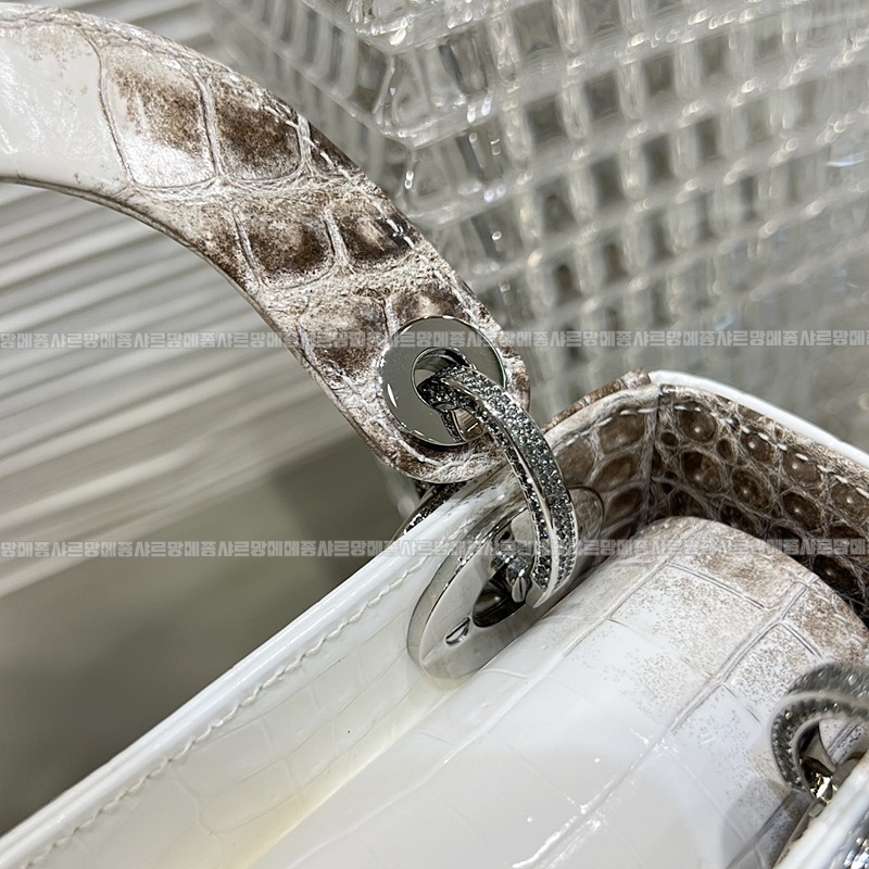 레이디디올하말라야 20260402-132005-016루.jpg