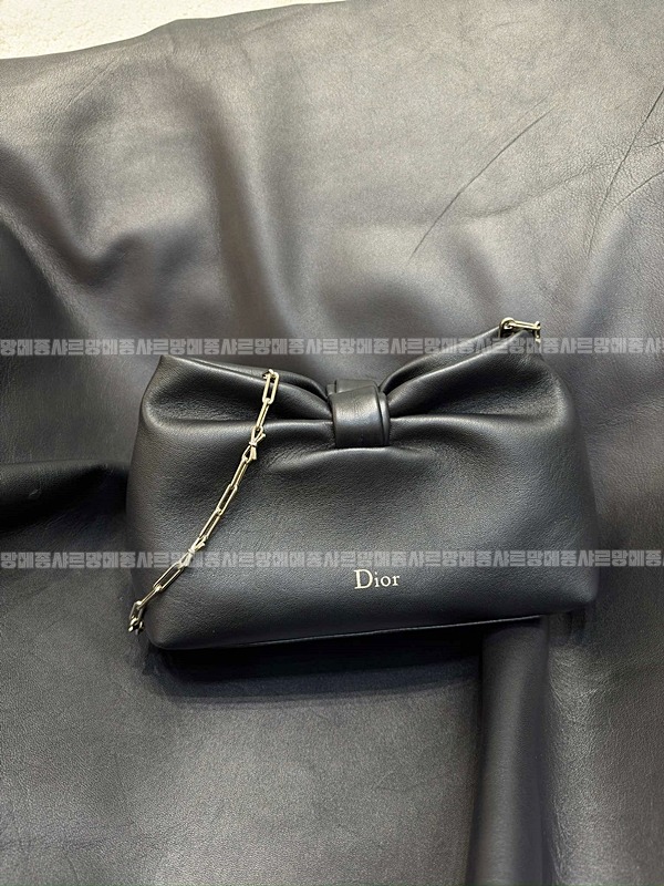 디올보우백 20260402-134142-001루.jpg