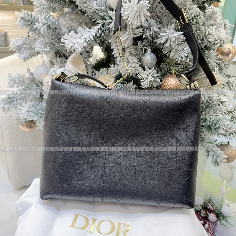 디올디올리백  20260402-143139-002루.jpg