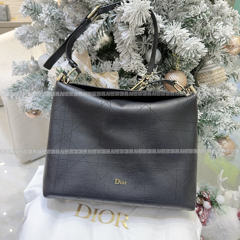 디올디올리백  20260402-143139-001루.jpg