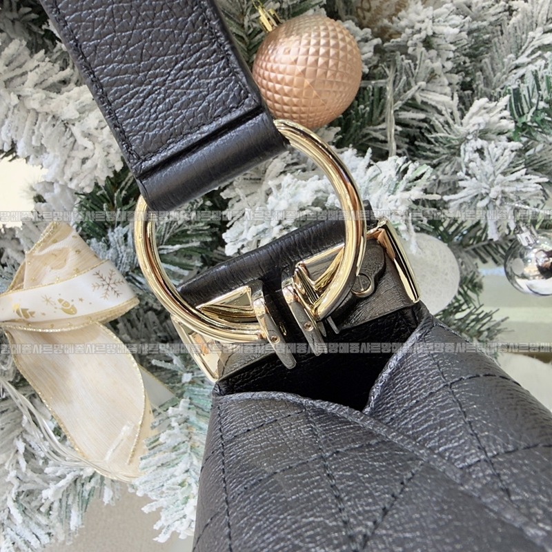 디올디올리백  20260402-143140-010루.jpg